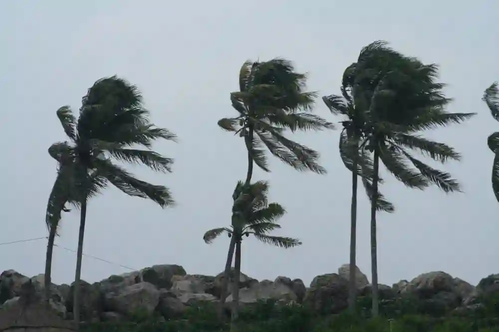 الطقس